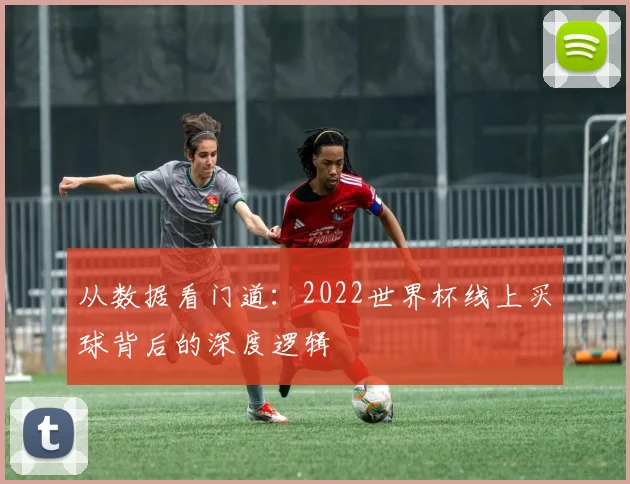 从数据看门道：2022世界杯线上买球背后的深度逻辑